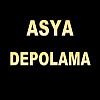 ASYA DEPOLAMA LOGO-100x100