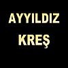 AYYILDIZ KREŞ LOGO-100x100