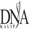 DNA KALIP-100x100